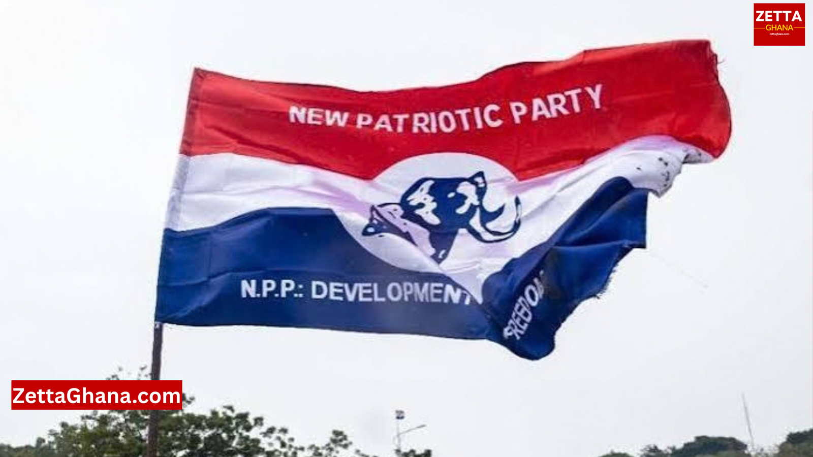 NPP to Have Six National Vice Chairpersons Under New Constitutional Amendment