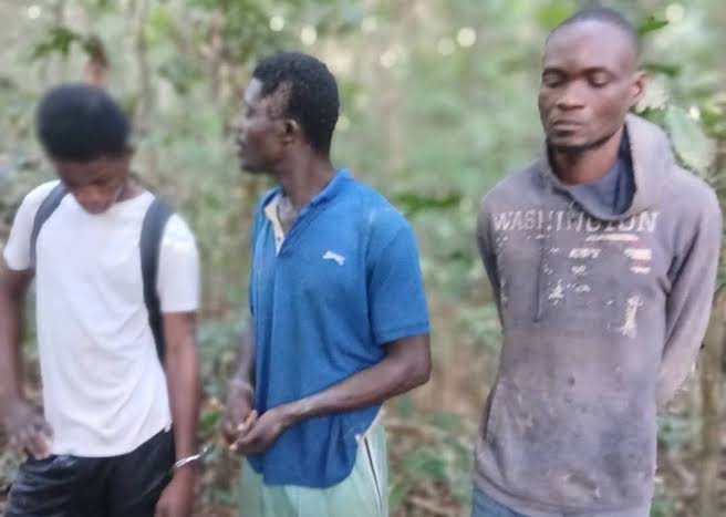 Three Suspected Illegal Miners Remanded After Tano-Boin Forest Arrest