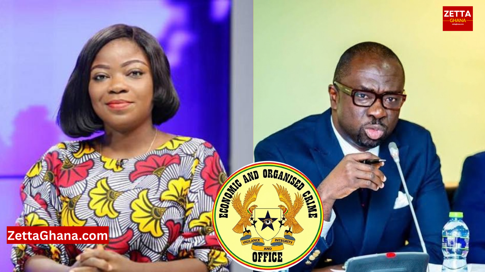 “EOCO’s Investigation Into Baffour Awuah Is Becoming a Political Witch-Hunt” – Afia Pokua