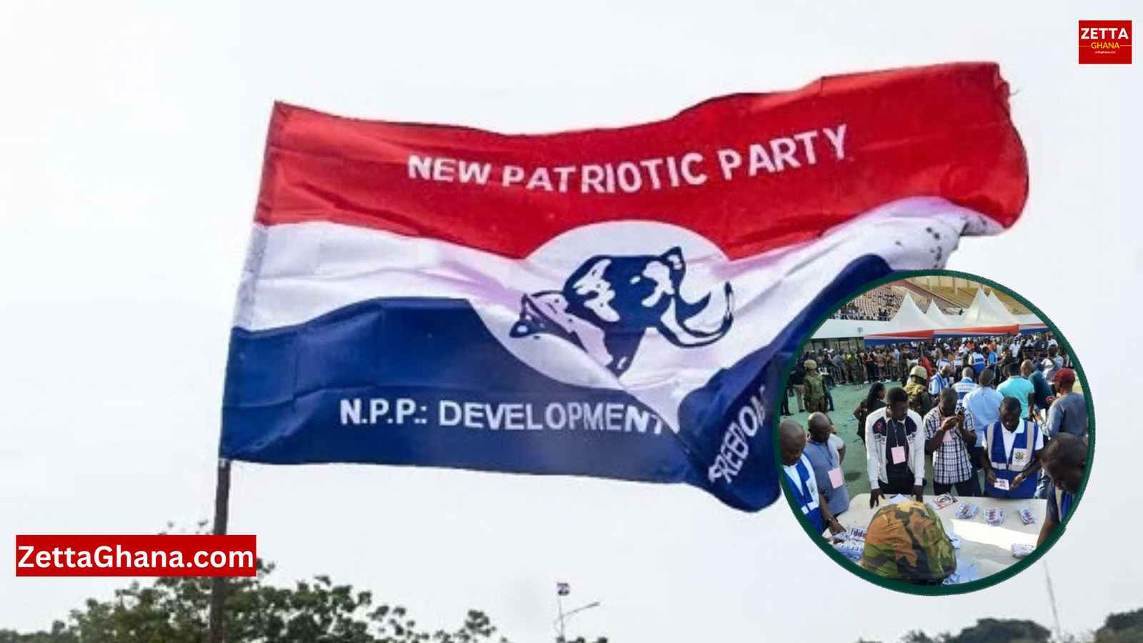 NPP Outlines Voting Arrangements for 7,163 Delegates Ahead of National Elections
